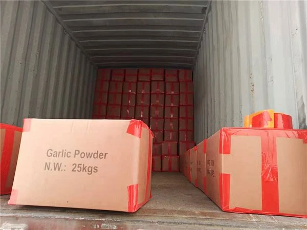 product-600-449 product-600-449